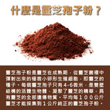 De An Tang LingZhi Reishi Spore Powder (40g per Box) | 靈芝孢子粉 (40g) (PRE-ORDER)