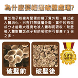 De An Tang LingZhi Reishi Spore Powder (40g per Box) | 靈芝孢子粉 (40g) (PRE-ORDER)