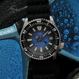 Marine Majesty - CWH Special Custom Collective Date Display Stainless Steel Rubber Strap Diver’s Watch CH-MOD-M7