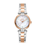DKNY ESSENTIAL MINI TWO-TONE WOMEN WATCH DK1L043M0095