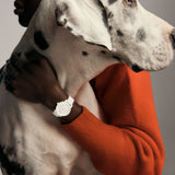 Movado Bold Evolution 34mm White Ceramic Crystals Watch 3601233