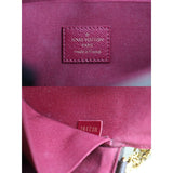 Louis Vuitton S25100501 (Very Good Condition)