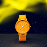 BERING 16934-699 WOMEN'S WATCH