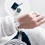 BERING 14426-010 CLASSIC WOMEN'S WATCH