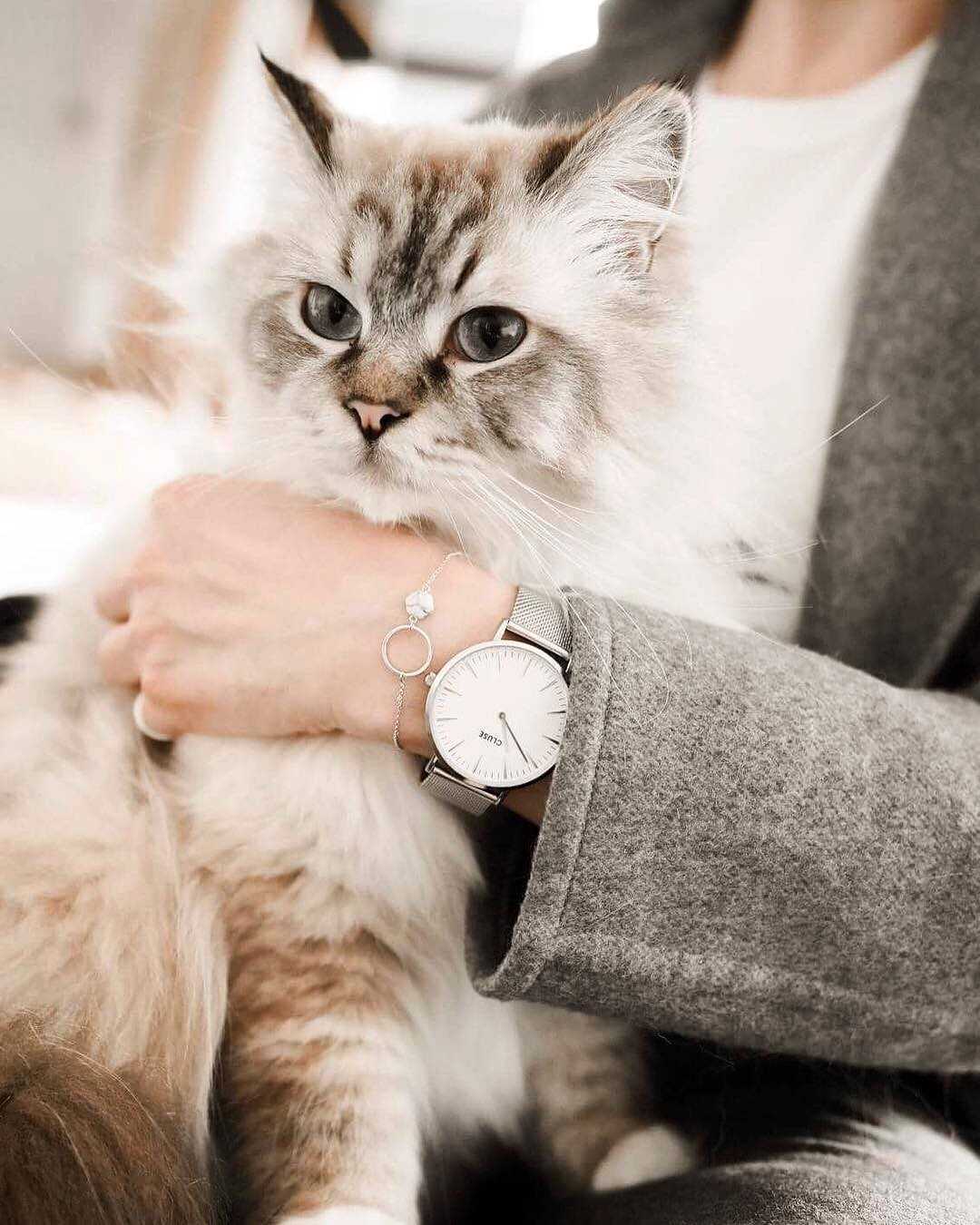 CLUSE LA BOHEME QUARTZ SILVER STAINLESS STEEL CL18105 MESH STRAP LADIES WATCH - H2 Hub Watches