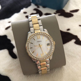 FOSSIL SCARLETTE ES4319 WOMEN'S WATCH