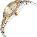 FOSSIL SCARLETTE ES4319 WOMEN'S WATCH