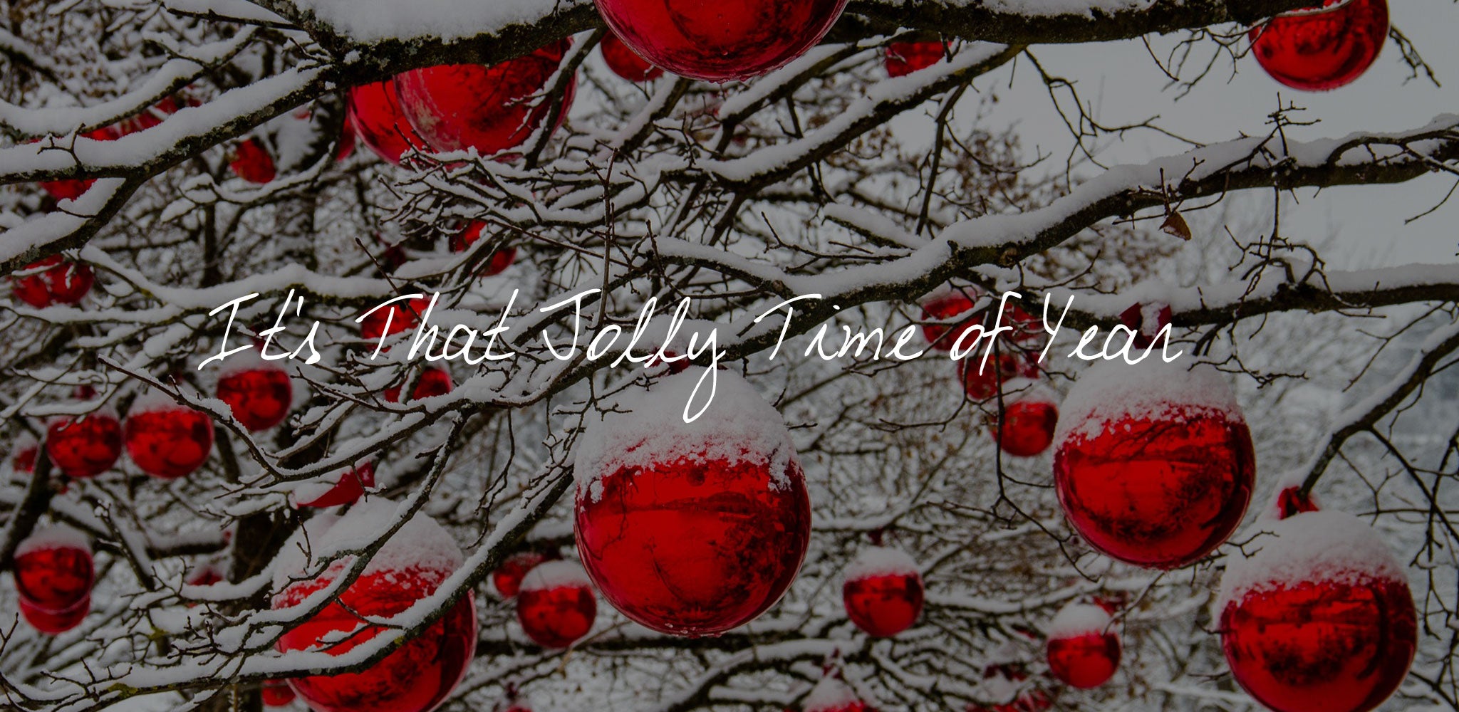 It’s That Jolly Time of Year