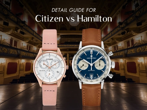 Detail guide for Citizen vs Hamilton