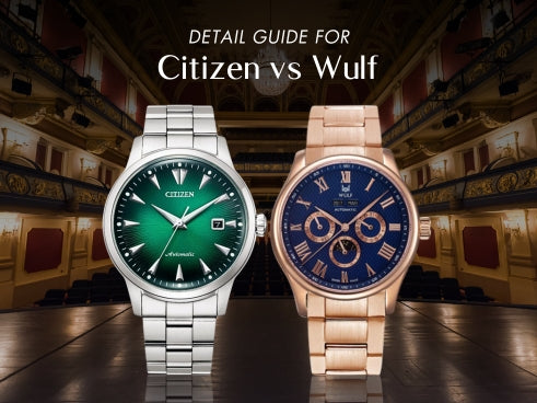 Detail guide for Citizen vs Wulf