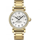 Coach Gold Stainless Steel Strap Women Watch 14502397P