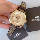 Coach New York Brown Leather Strap Women Watch 14503150P