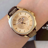 Coach New York Brown Leather Strap Women Watch 14503150P
