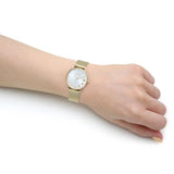 Coach New York Silver Dial Gold Milanese Strap Women Watch 14503521