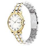Coach New York Arden Two-Tone Stainless Steel Strap Women Watch 14503600