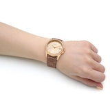 Coach New York Gold Dial Brown Leather Strap Women Watch 14504111