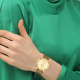 Coach New York Gold Dial Brown Leather Strap Women Watch 14504111