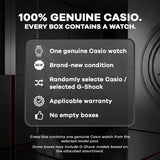 Casio Surprise Box