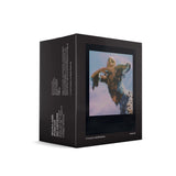Polaroid Go film double pack - Black Frame Edition 6211