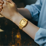 Casio Vintage Retro Modern Stainless Steel Strap Unisex Watch AQ-240E With P Series