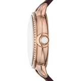 Emporio Armani White Dial Brown Leather Strap Women Watch AR11568