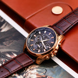Citizen Eco-Drive World Time GMT Brown leather Strap Men Watch AT9123-13E
