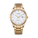 Citizen Eco-Drive Gold Stainless Steel Strap Women's Watch BM6973-97A