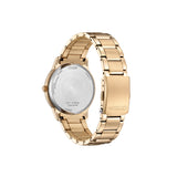 Citizen Eco-Drive Gold Stainless Steel Strap Women's Watch BM6973-97A