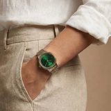 Dkny Green Dial Two-Tone Stainless Steel Strap Women's Watch DK1L086M0085
