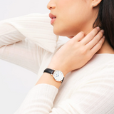 Daniel Wellington Petite Roman Numerals Sheffield Women's Watch DW00100683 (28mm)