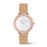 Daniel Wellington Crystalline Bezel Melrose Stainless Steel Strap Women's Watch DW00100823