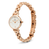 Daniel Wellington Petite Mini Arch Stainless Steel Strap Women's Watch DW00100854