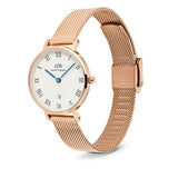 Daniel Wellington Petite Roman Numerals Date Rose Gold Women's Watch DW00100856