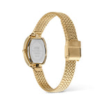 Daniel Wellington Juliette Braided Mesh White Sunray Gold Women's Watch DW00100880