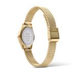Daniel Wellington Ophelia Mini Gold Mesh Strap Women's Watch DW00100939