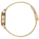 Citizen Eco-Drive Gold Milanese Strap Women Watch EQ3003-50W