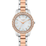 Lee Cooper Consign Stainless Steel Strap Women Watch LC07390.520