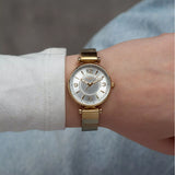 Lee Cooper Consign Gold Stainless Steel Strap Women's Watch LC07935.130