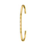 Casio General Green Dial Gold Milanese Strap Women Watch LTP-2024VMG-3CDR