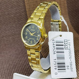 Casio General Black Dial Gold Stainless Steel Strap Unisex Watch LTP-V002G-1BUDF-P