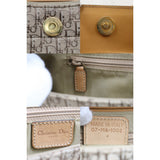 Dior S25032601 Punk Canvas (Very Good Condition)