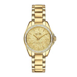 COACH TRISTEN ANALOG QUARTZ GOLD STAINLESS STEEL 14502460 WOMEN'S WATCH - H2 Hub Watches