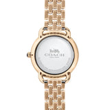 COACH DELANCEY ANALOG QUARTZ ROSE GOLD STAINLESS STEEL 14502783 WOMEN'S WATCH