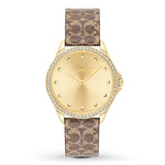 COACH ASTOR 14503218 WOMEN'S WATCH - H2 Hub Watches