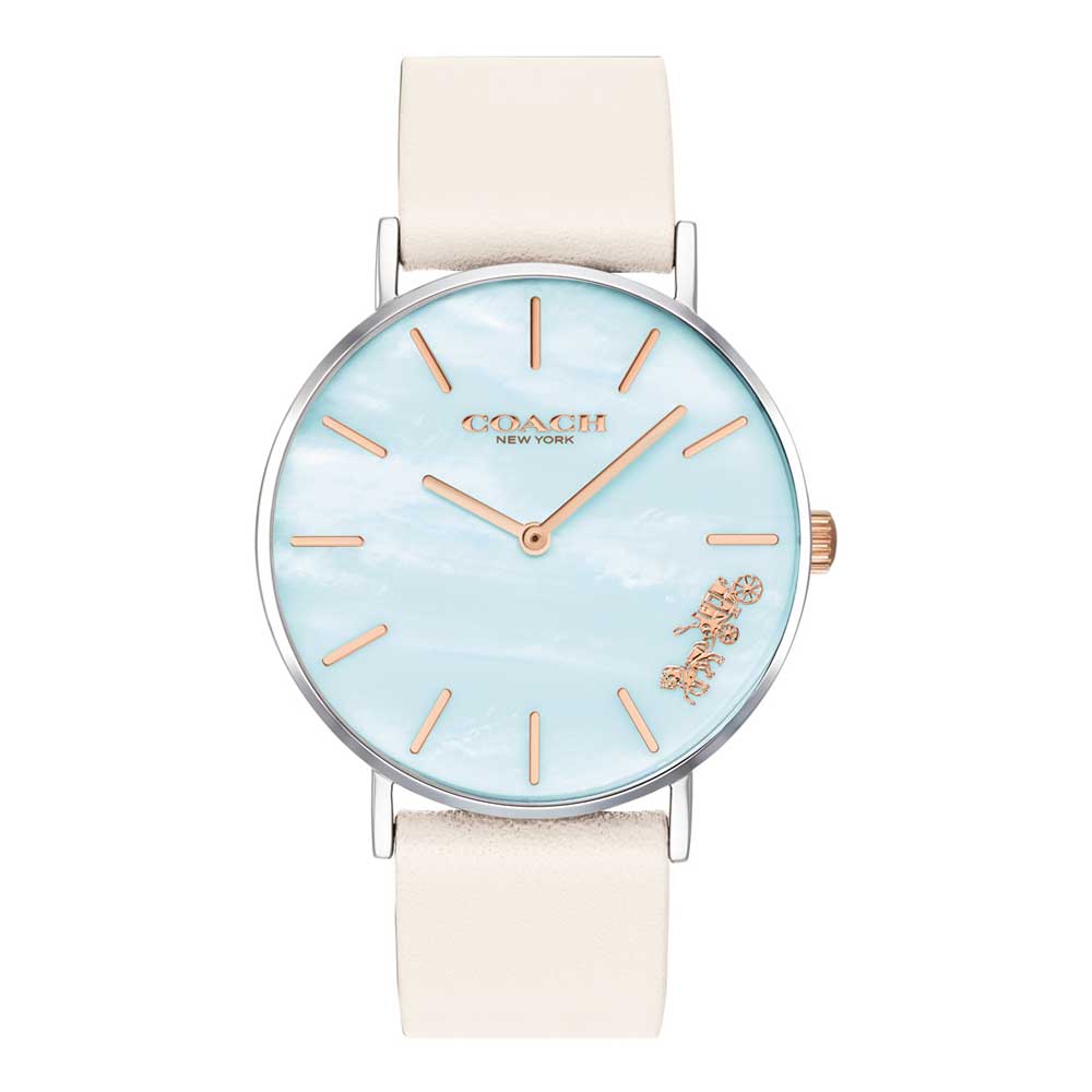 COACH DELANCEY 14503270 WOMEN'S WATCH - H2 Hub Watches