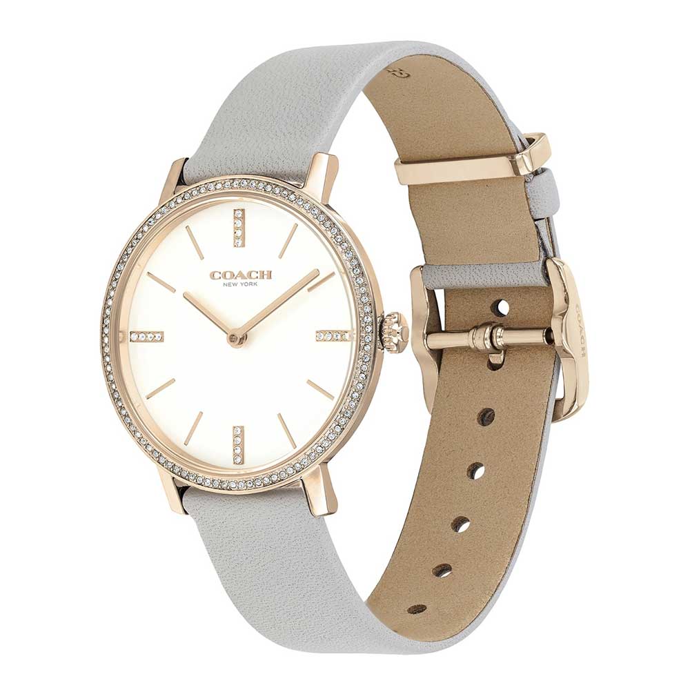 COACH AUDREY 14503352 WOMEN'S WATCH - H2 Hub Watches