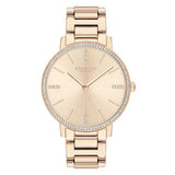 COACH AUDREY 14503354 WOMEN'S WATCH - H2 Hub Watches