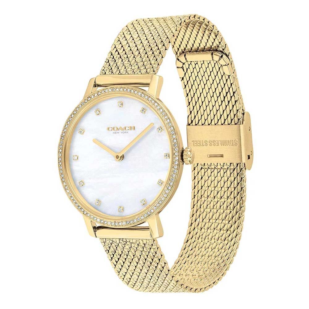 COACH AUDREY 14503359 WOMEN'S WATCH - H2 Hub Watches