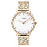 COACH AUDREY 14503360 WOMEN'S WATCH