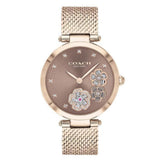 Coach Park Brown Women's Watch 14503566